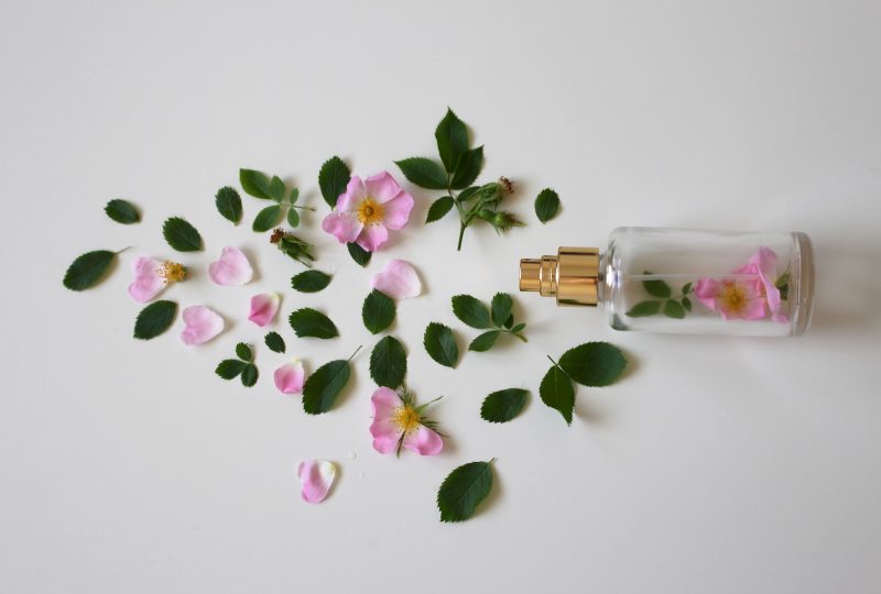 skład kosmetyków naturalnych, rośliny