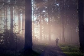Rowerem przez las, czyli leśna turystyka rowerowa. Co warto wiedzieć?