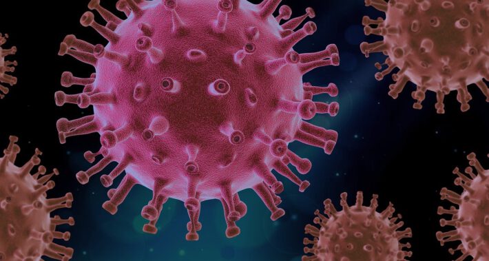 Wirusy a układ immunologiczny