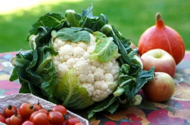 warzywa na stoliku do codziennej diety dla dzieci