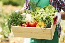 Skrzynka pełna warzyw przeznaczona do zrobienia posiłków dla osób z cukrzycą