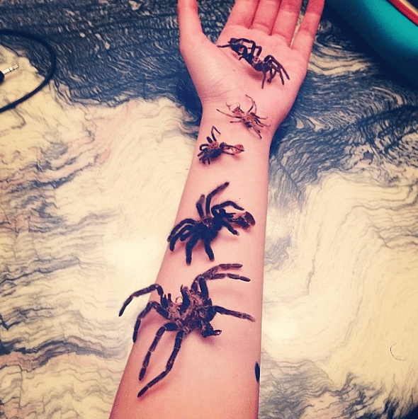 Tatuaże pająki 3D