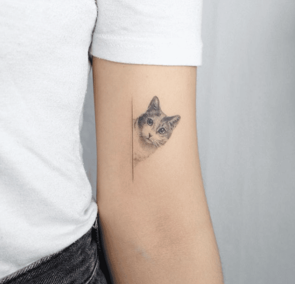 Tatuaż koty i ich delikatne oblicze