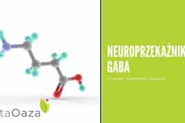 GABA - neuroprzekaźnik. Budowa, działanie, suplementy