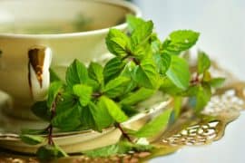 Zielona herbata - właściwości, zastosowanie, przeciwwskazania