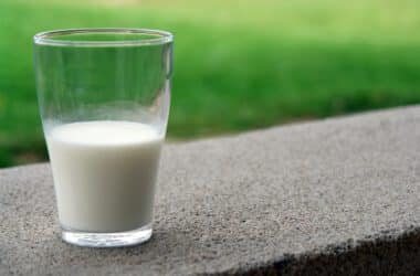 Mleko bez laktozy