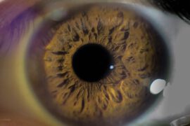 Optometryczne badanie wzroku