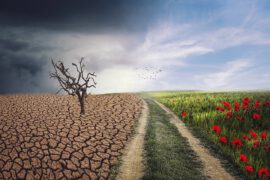 Zmiana klimatu na ziemi i wpływ na nasze zdrowie