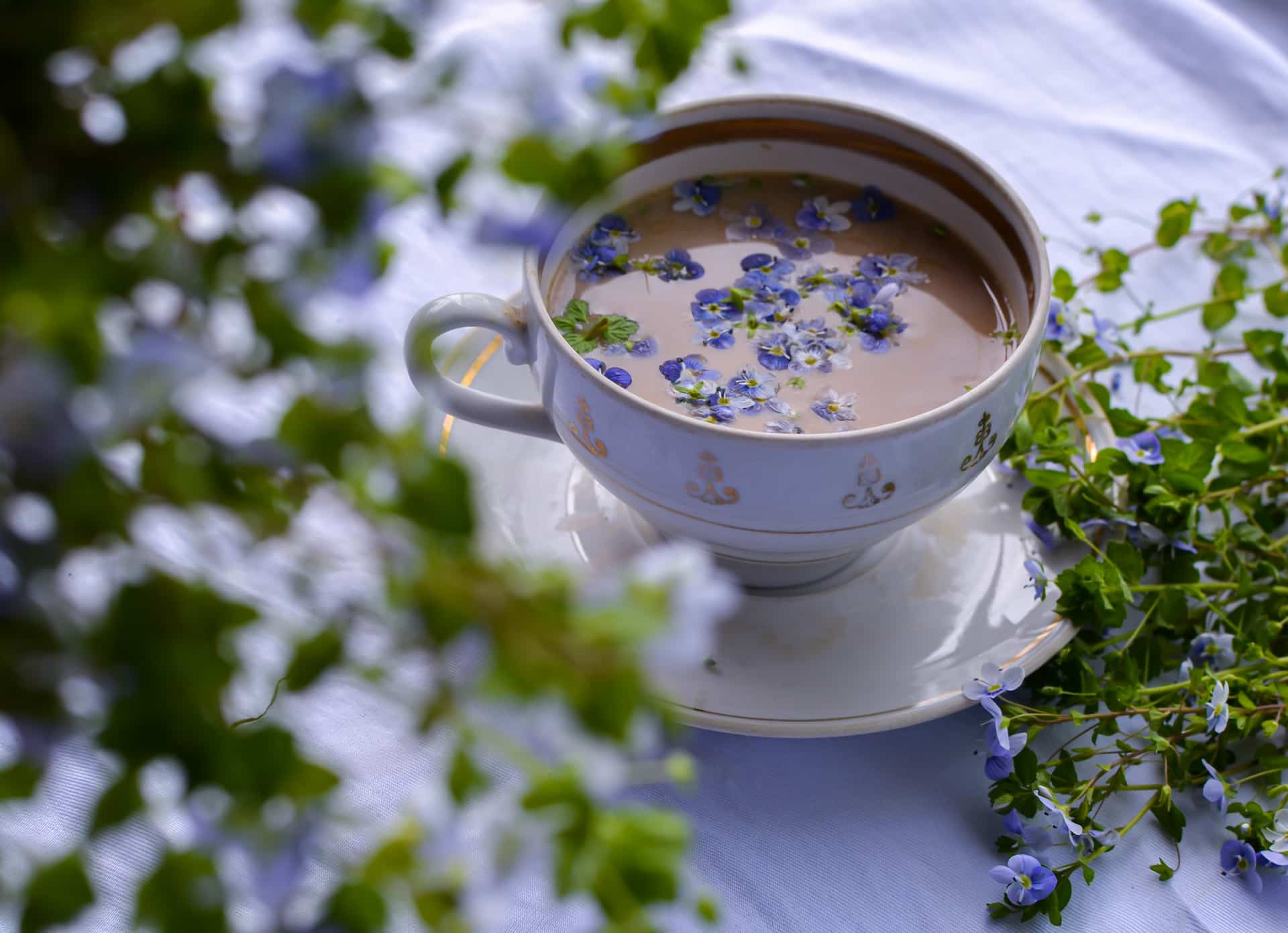 Na tym obrazku możemy zobaczyć elegancką filiżankę z aromatyczną herbatą z bratka, która wabi swoim intensywnym kolorem i delikatnym zapachem. Kwiat bratka, z którego pochodzi ta wyjątkowa herbata, jest znany ze swoich relaksujących właściwości i korzystnego wpływu na zdrowie. Obrazek oddaje atmosferę spokoju i odprężenia, zachęcając do chwili wyciszenia i delektowania się aromatycznym naparem, który doskonale wspiera wewnętrzne równowagę i harmonię