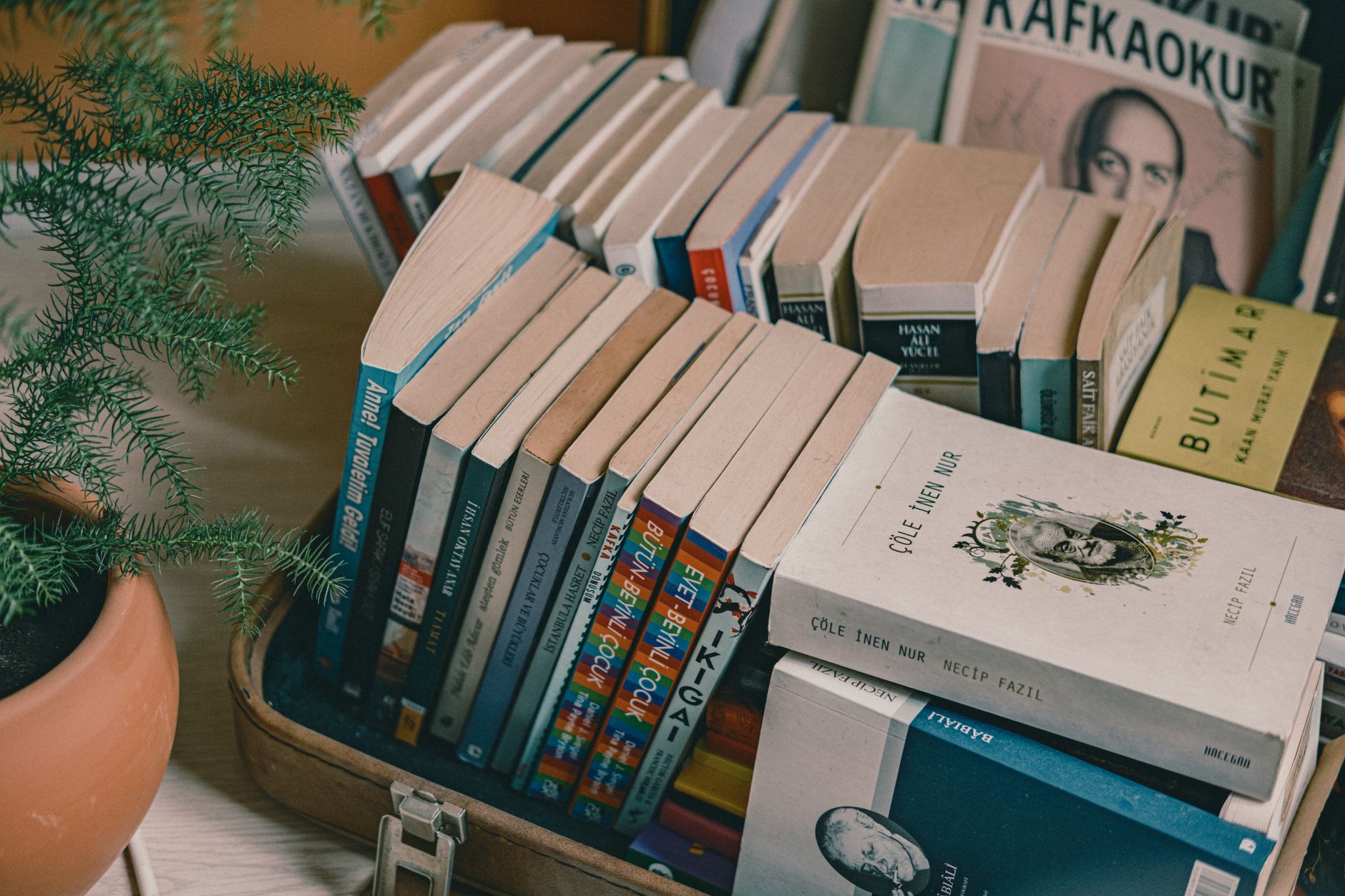 Jak wybierać książki do klubu książki? Kryteria, głosowanie i lista lektur